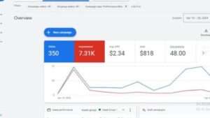 I will audit and optimize google ads adwords search ads ppc campaign manager